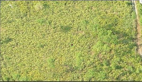 1.26 Acres of Residential Land for Sale in Orlando, Florida