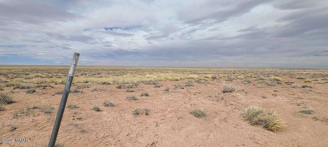 160 Acres of Land for Sale in Concho, Arizona