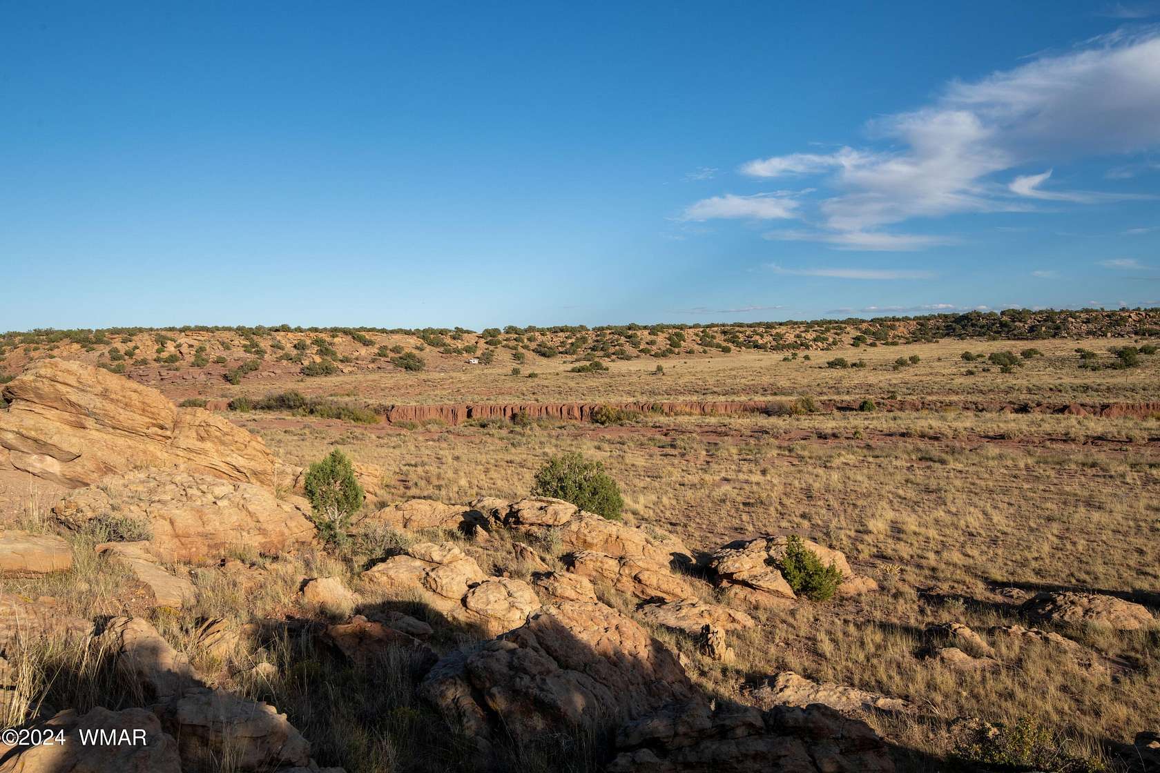 47.5 Acres of Land for Sale in Concho, Arizona