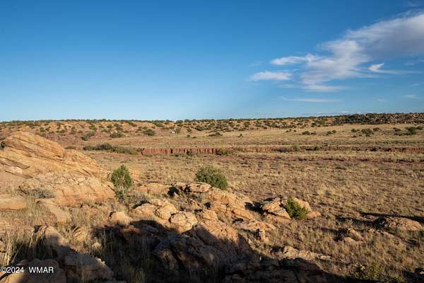 47.5 Acres of Land for Sale in Concho, Arizona