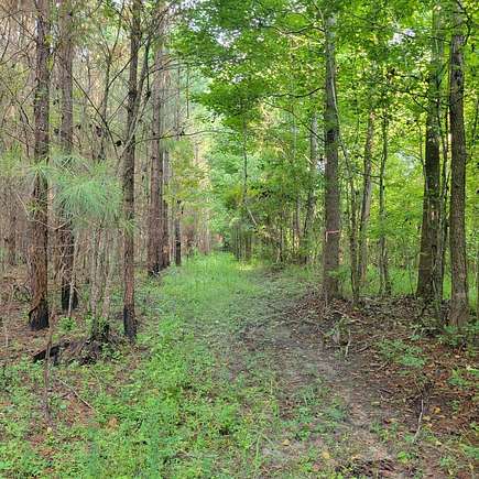 108 Acres of Recreational Land for Sale in Sprague, Alabama