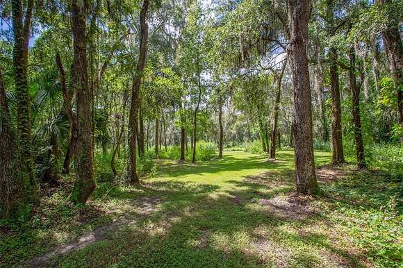 6.01 Acres of Residential Land for Sale in Riverview, Florida