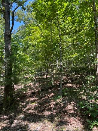 9 Acres of Land for Sale in Roach, Missouri