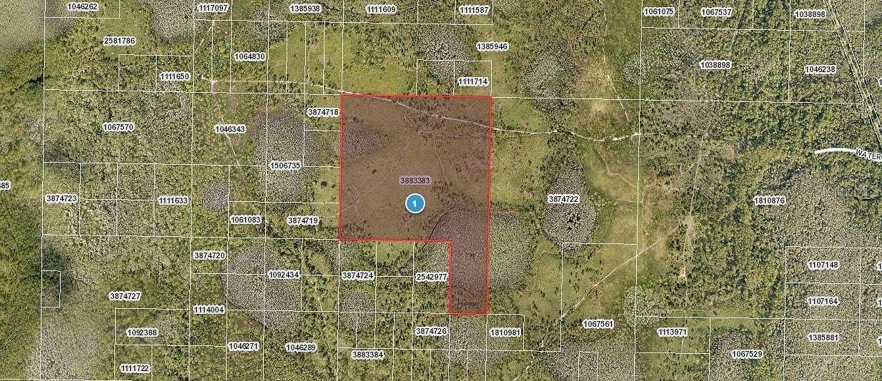 45 Acres of Recreational Land for Sale in Groveland, Florida