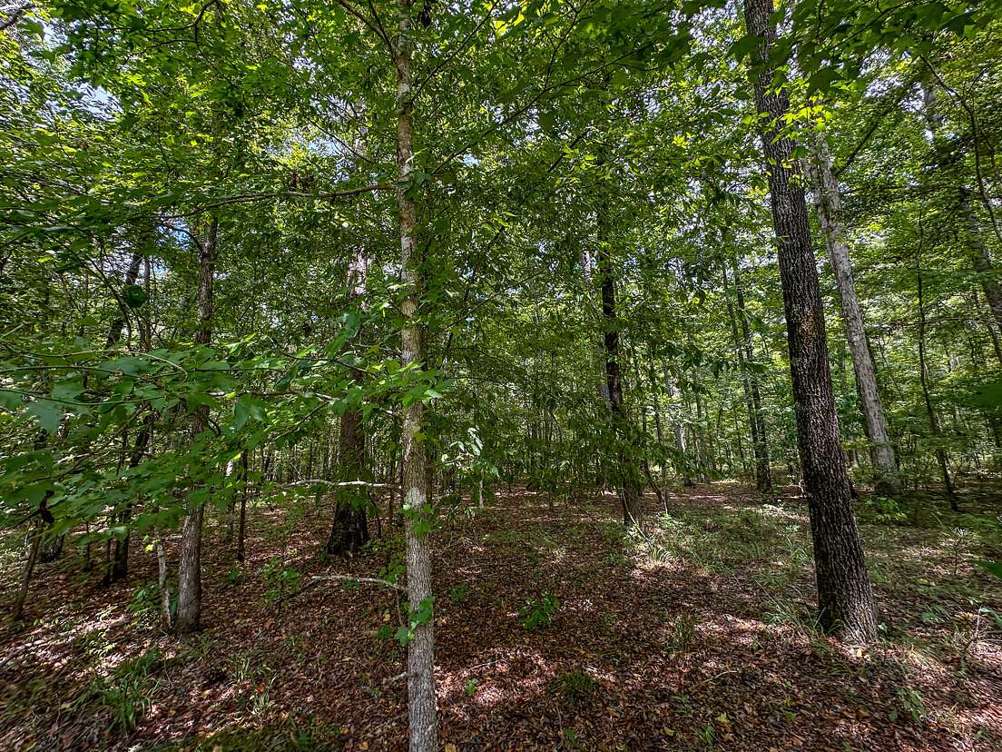 188 Acres of Land for Sale in Montgomery, Alabama