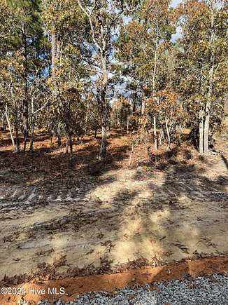 11 Acres of Land for Sale in Jackson Springs, North Carolina