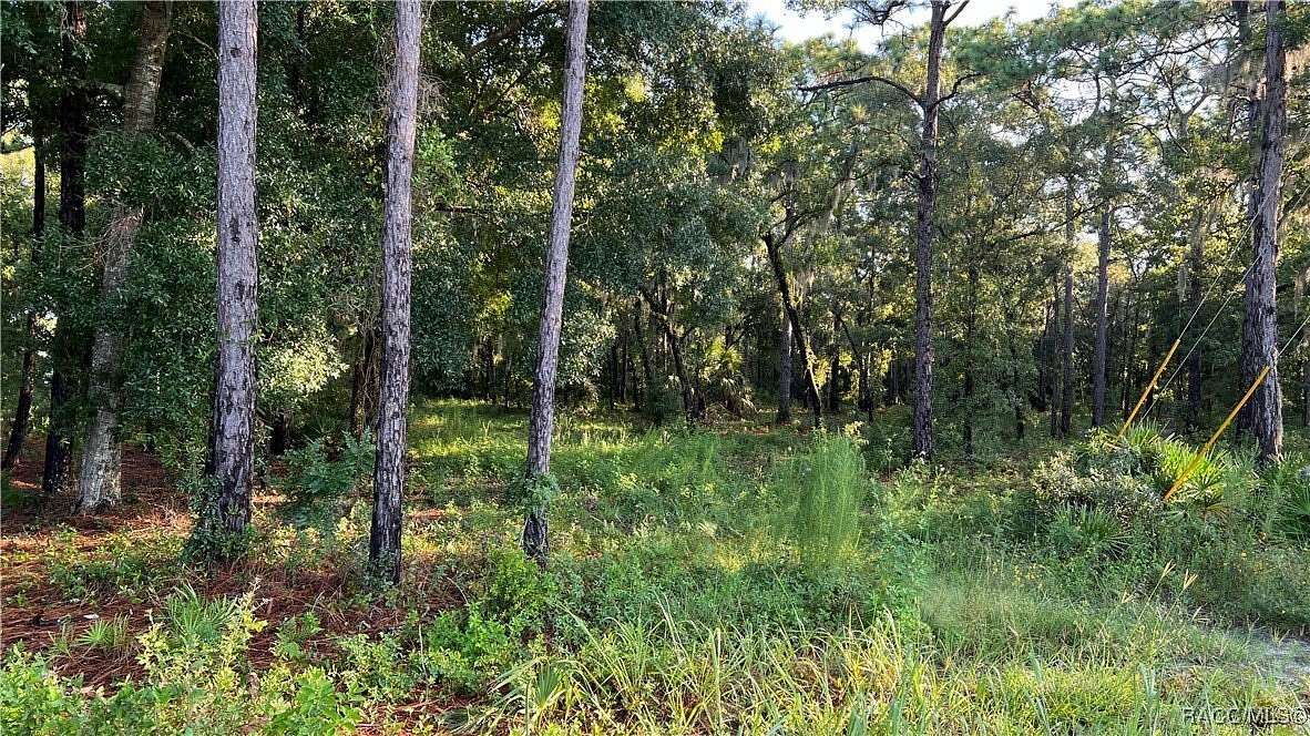 3.73 Acres of Land for Sale in Homosassa, Florida