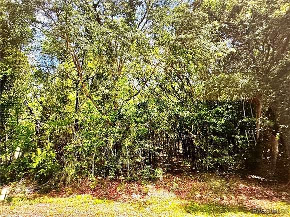 1 Acre of Residential Land for Sale in Inverness, Florida