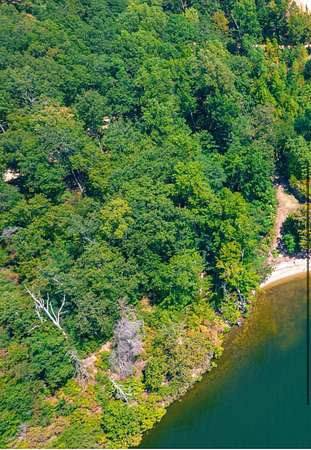 2 Acres of Residential Land for Sale in Waterloo, Alabama