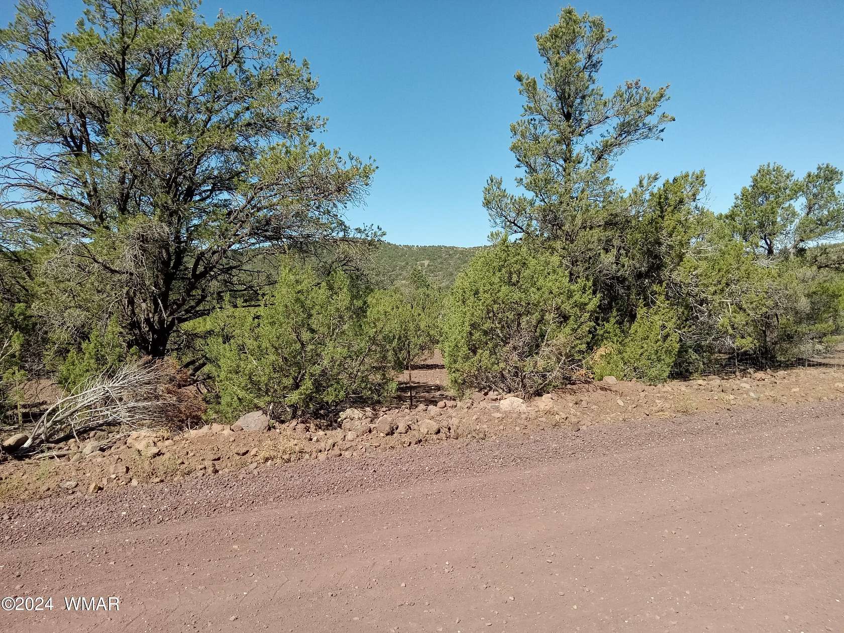 3.19 Acres of Residential Land for Sale in Vernon, Arizona