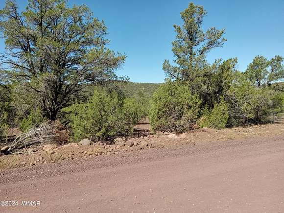 3.19 Acres of Residential Land for Sale in Vernon, Arizona