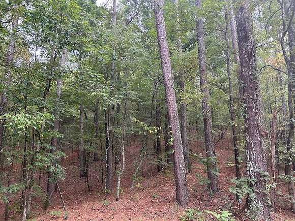 178 Acres of Land for Sale in Duck Hill, Mississippi