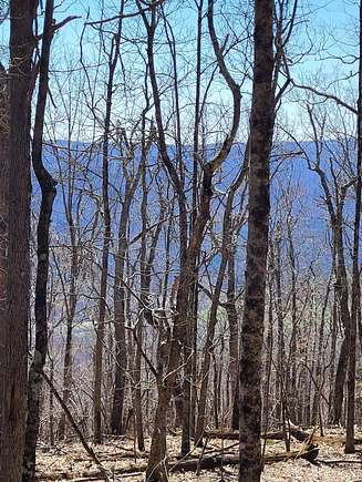 1 Acre of Land for Sale in Waiteville, West Virginia