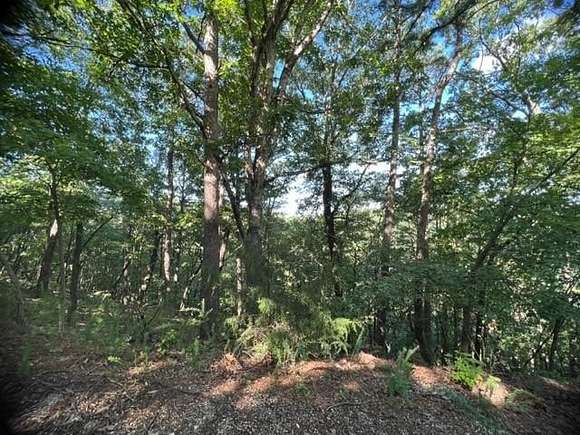 0.446 Acres of Residential Land for Sale in Holiday Island, Arkansas