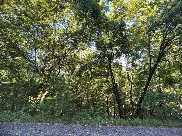 0.464 Acres of Residential Land for Sale in Holiday Island, Arkansas