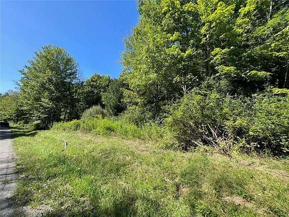 2.7 Acres of Residential Land for Sale in Spencer, New York