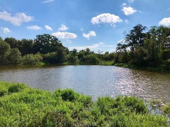 45.022 Acres of Recreational Land & Farm for Sale in Caldwell, Texas