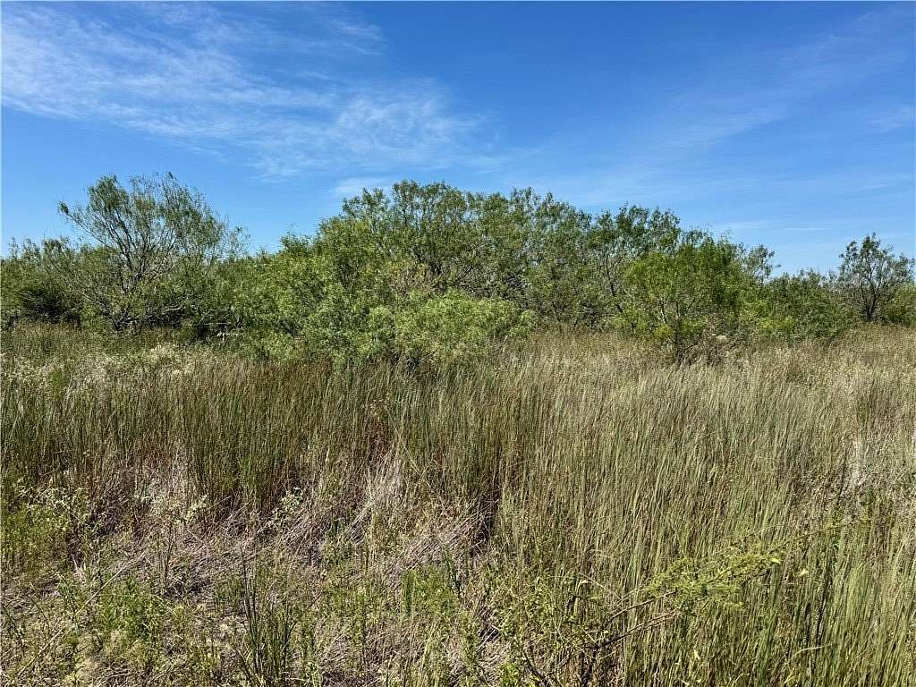 Land for Sale in Realitos, Texas