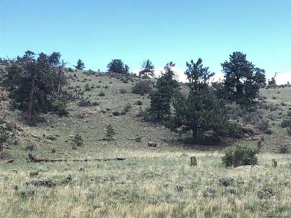 5 Acres of Land for Sale in Hartsel, Colorado