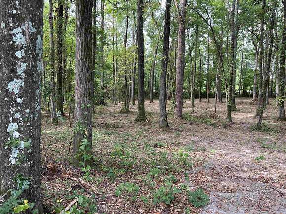 2 Acres of Land for Sale in White Hall, Arkansas