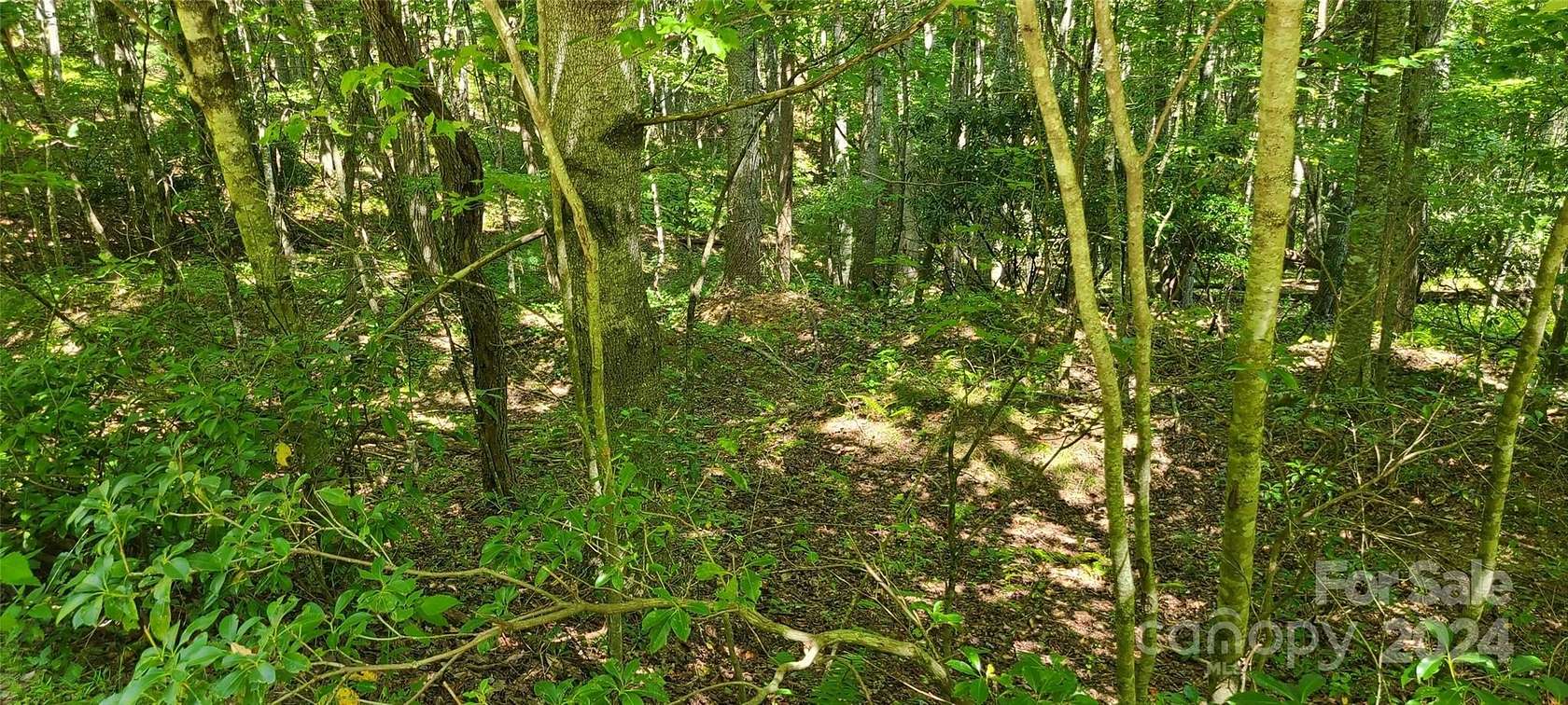 2.16 Acres of Residential Land for Sale in Jefferson, North Carolina