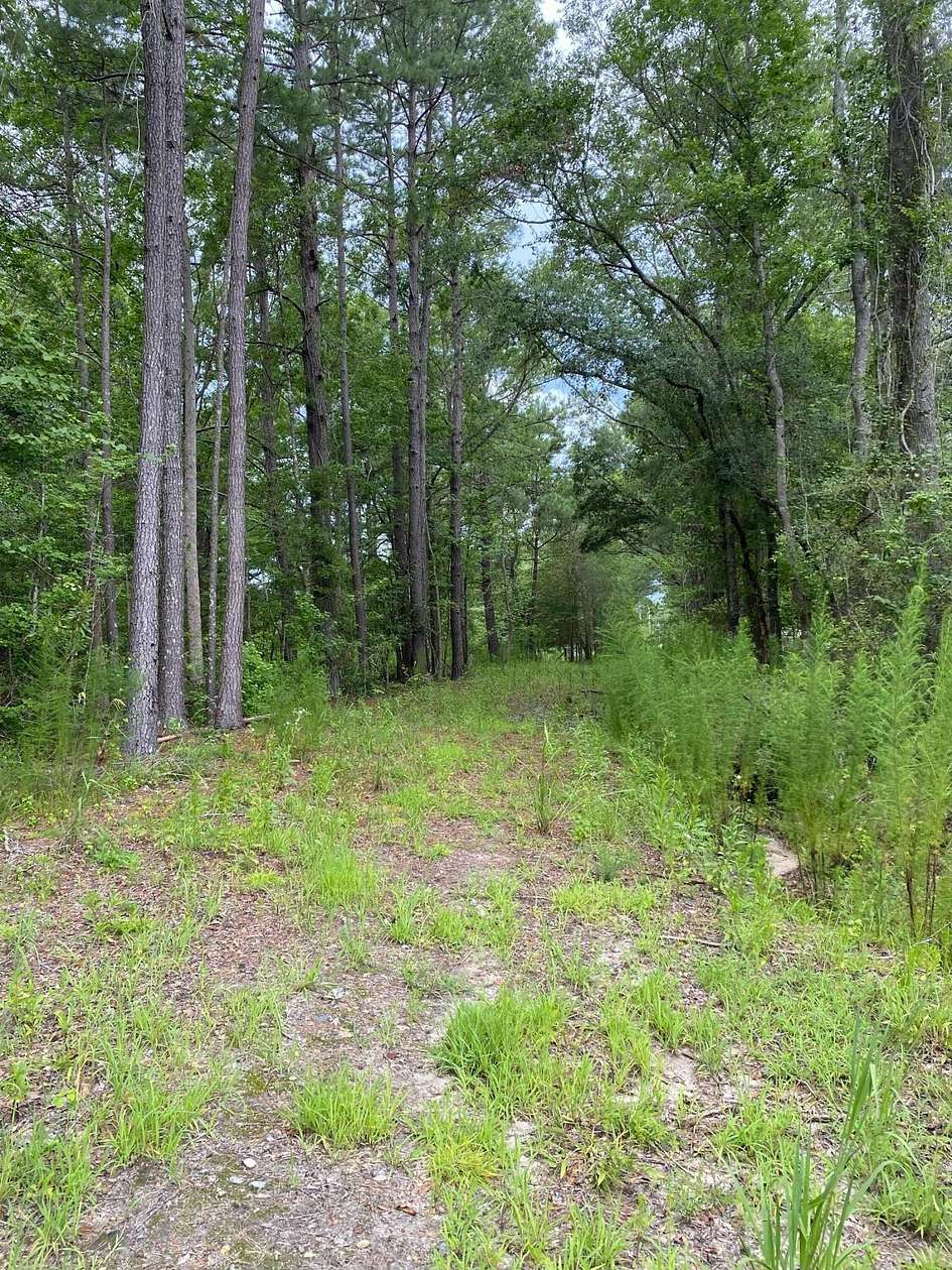 105 Acres of Recreational Land & Farm for Sale in Cottageville, South Carolina