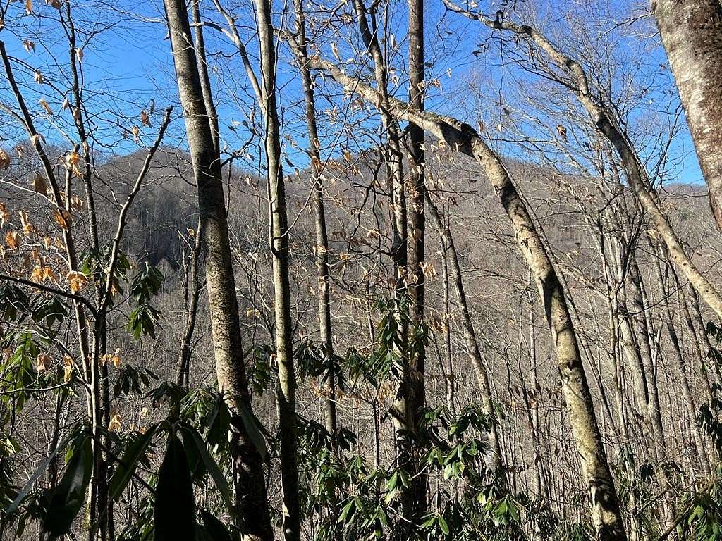 3.27 Acres of Land for Sale in Sylva, North Carolina