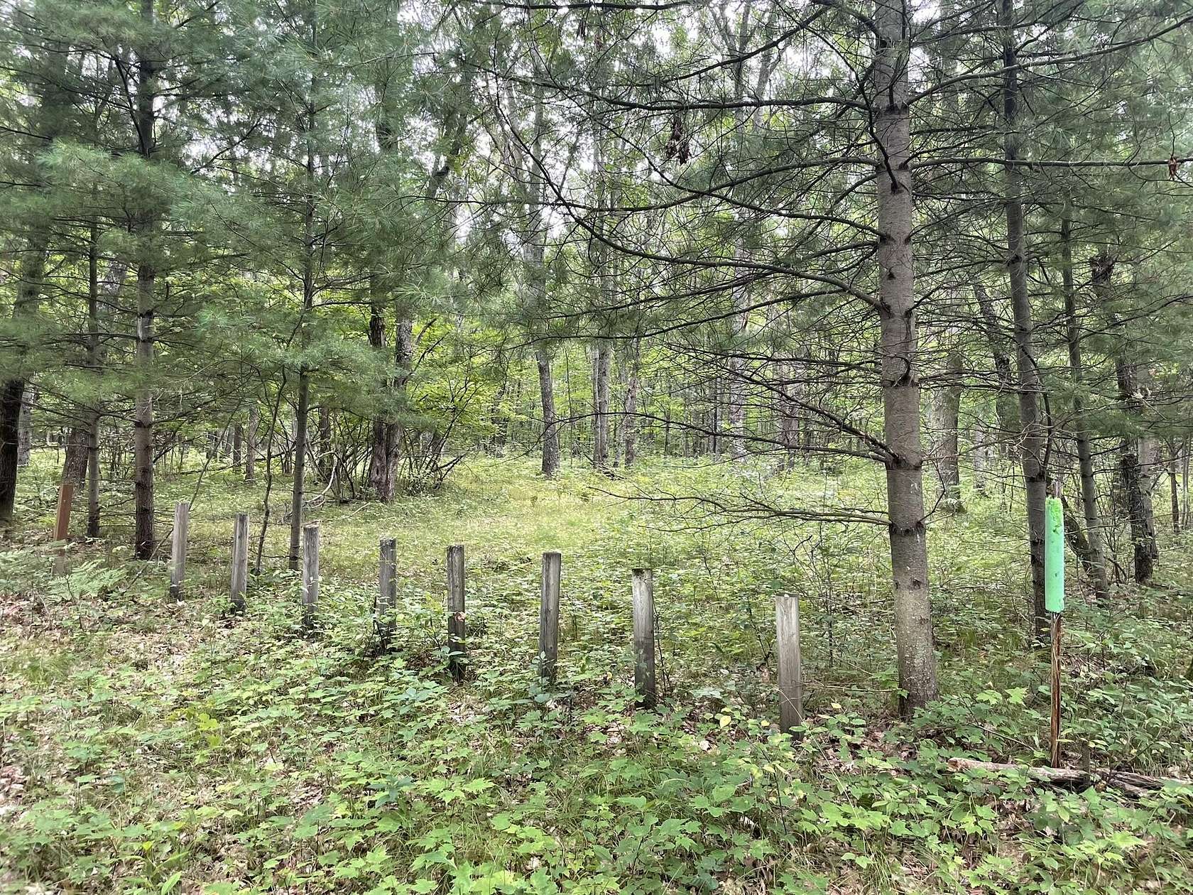 2.5 Acres of Residential Land for Sale in Irons, Michigan