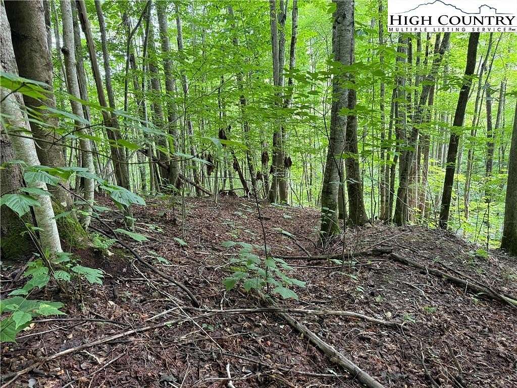 1 Acre of Residential Land for Sale in Beech Mountain, North Carolina