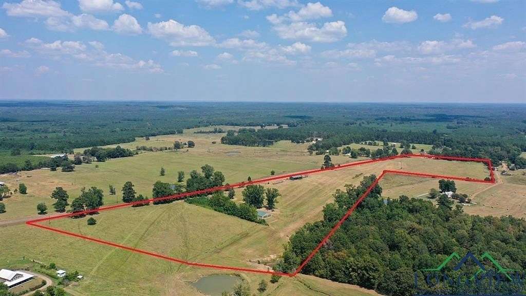 30 Acres of Agricultural Land for Sale in Bivins, Texas