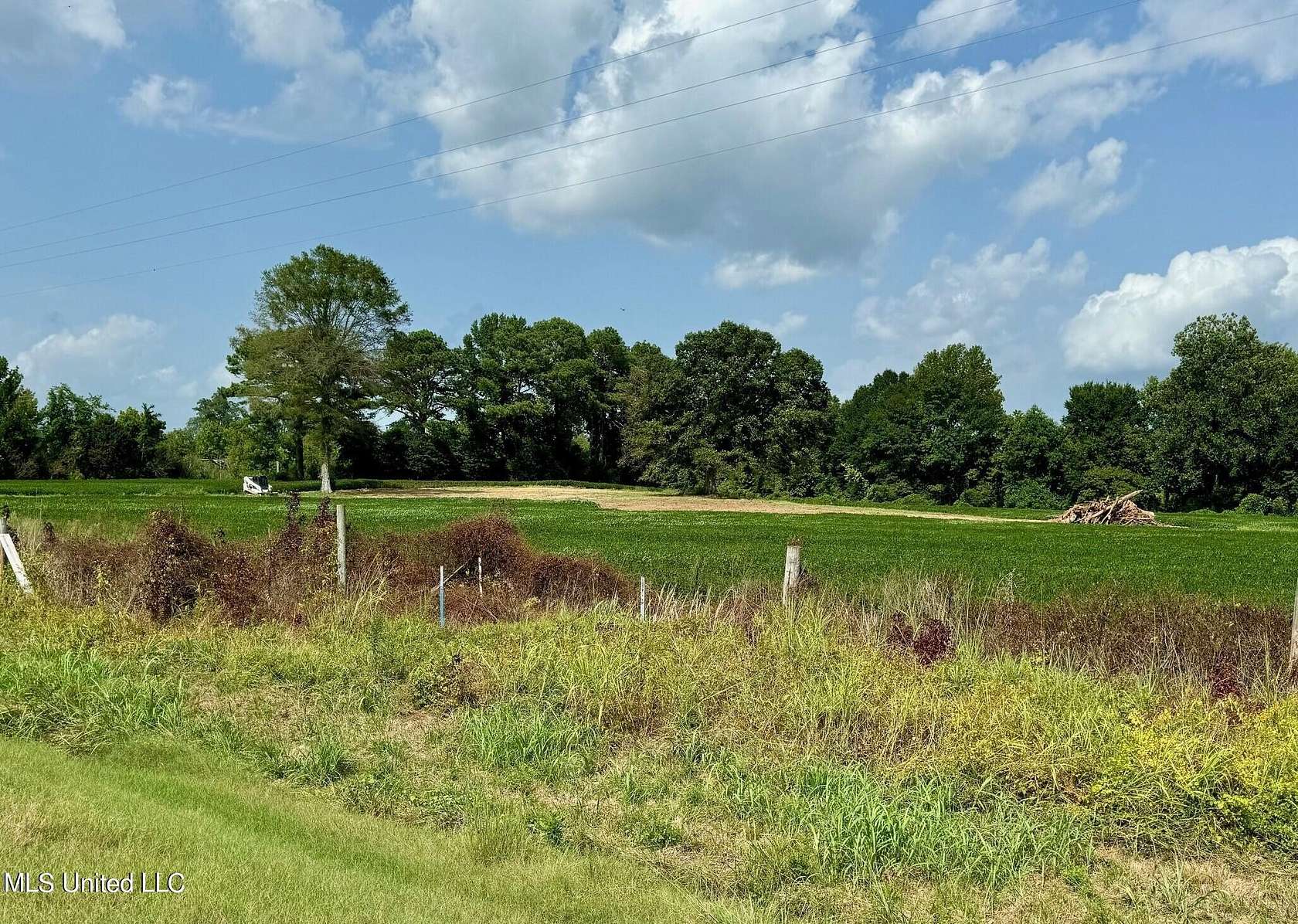 20 Acres of Agricultural Land for Sale in Banner, Mississippi