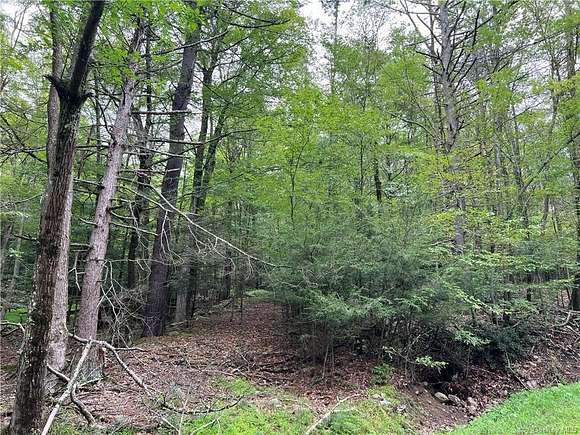 5 Acres of Residential Land for Sale in Wawarsing, New York