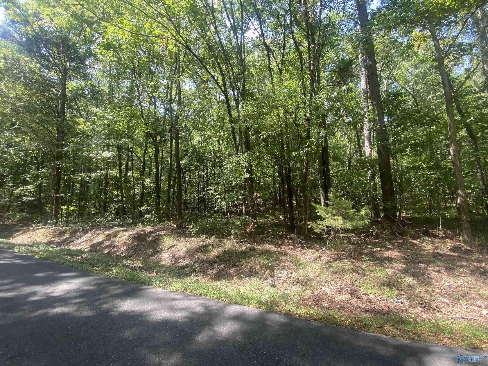 93 Acres of Land for Sale in Scottsboro, Alabama