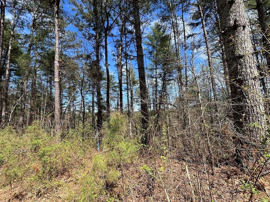 1.6 Acres of Land for Sale in Ellijay, Georgia