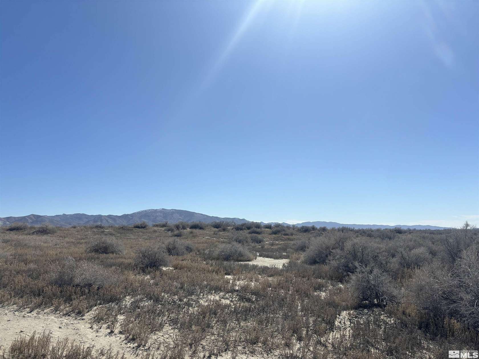 73.58 Acres of Agricultural Land for Sale in Lovelock, Nevada