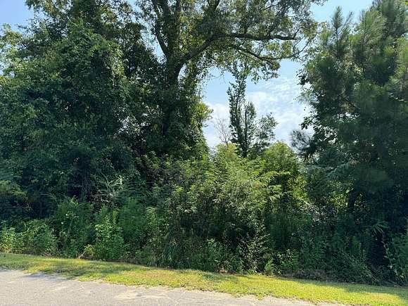 0.216 Acres of Mixed-Use Land for Auction in Alford, Florida