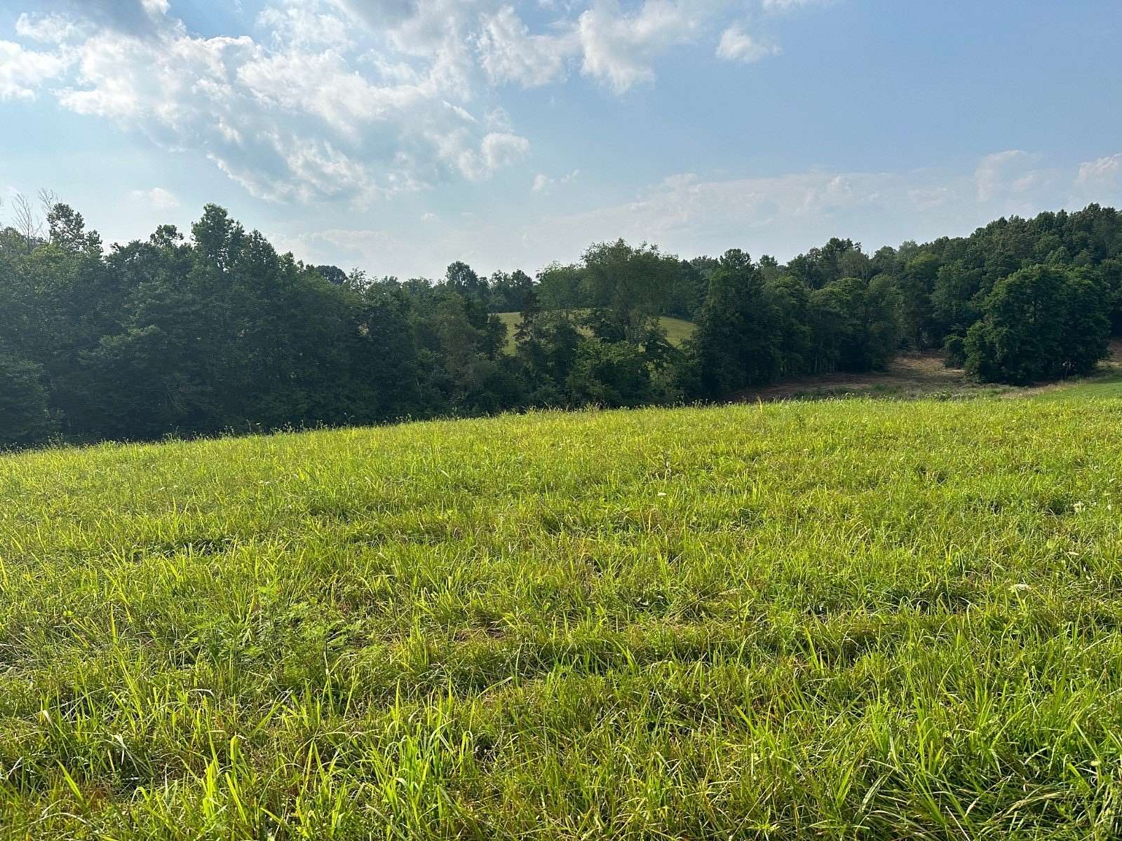 3 Acres of Land for Sale in Albany, Kentucky