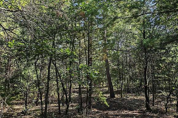 Rustic Wooded Acreage