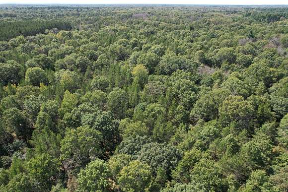 Juneau County Wooded Acreage