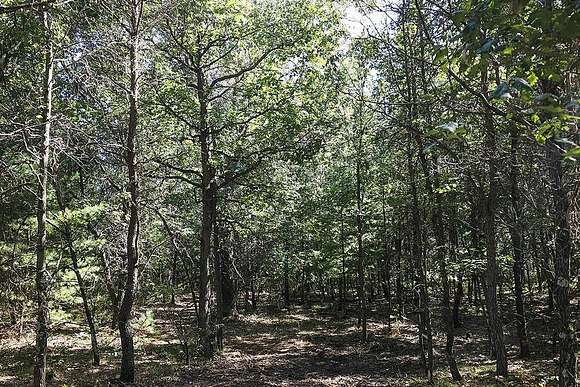 Central Wisconsin Wooded Acreage