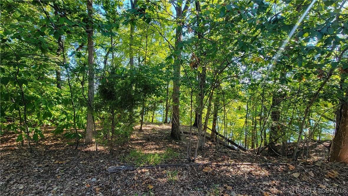 0.47 Acres of Land for Sale in Jasper Township, Missouri