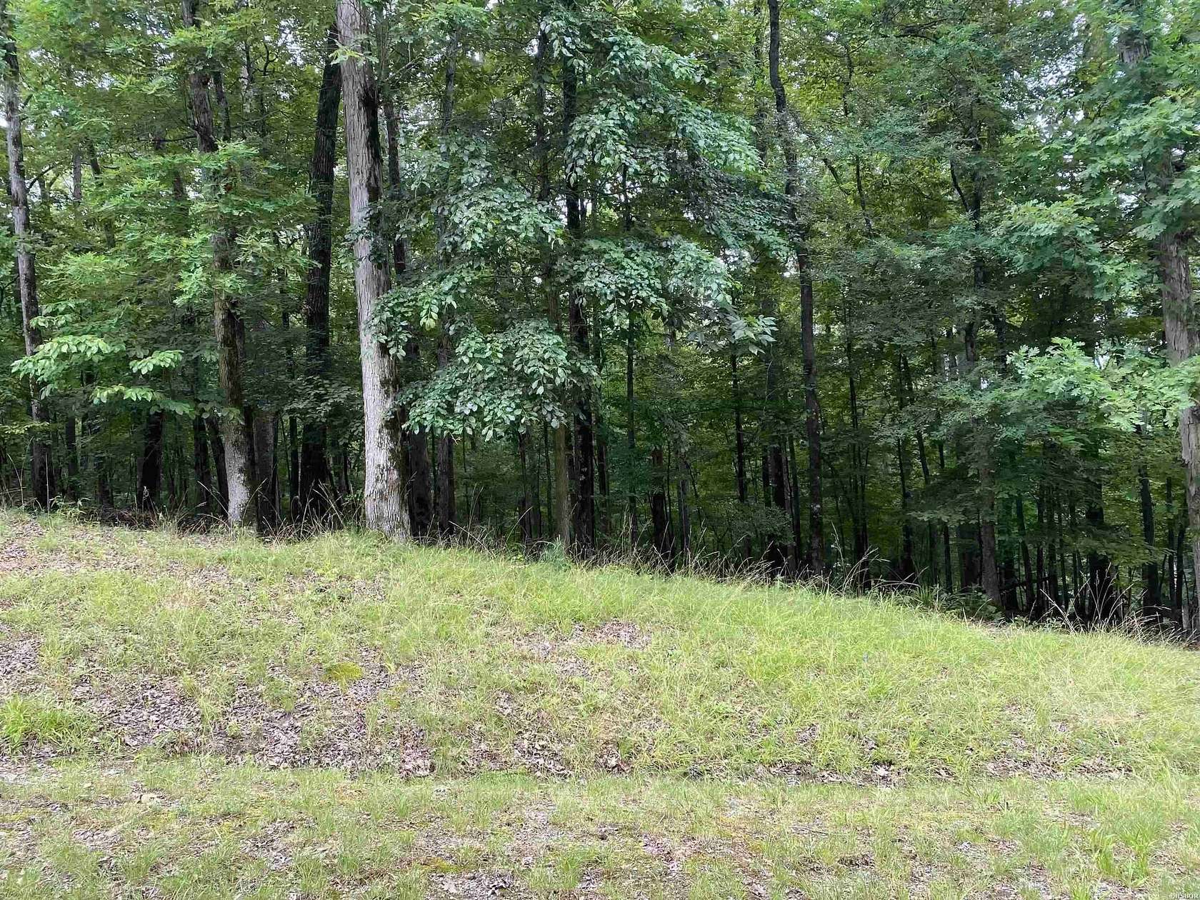 0.42 Acres of Residential Land for Sale in Hot Springs, Arkansas