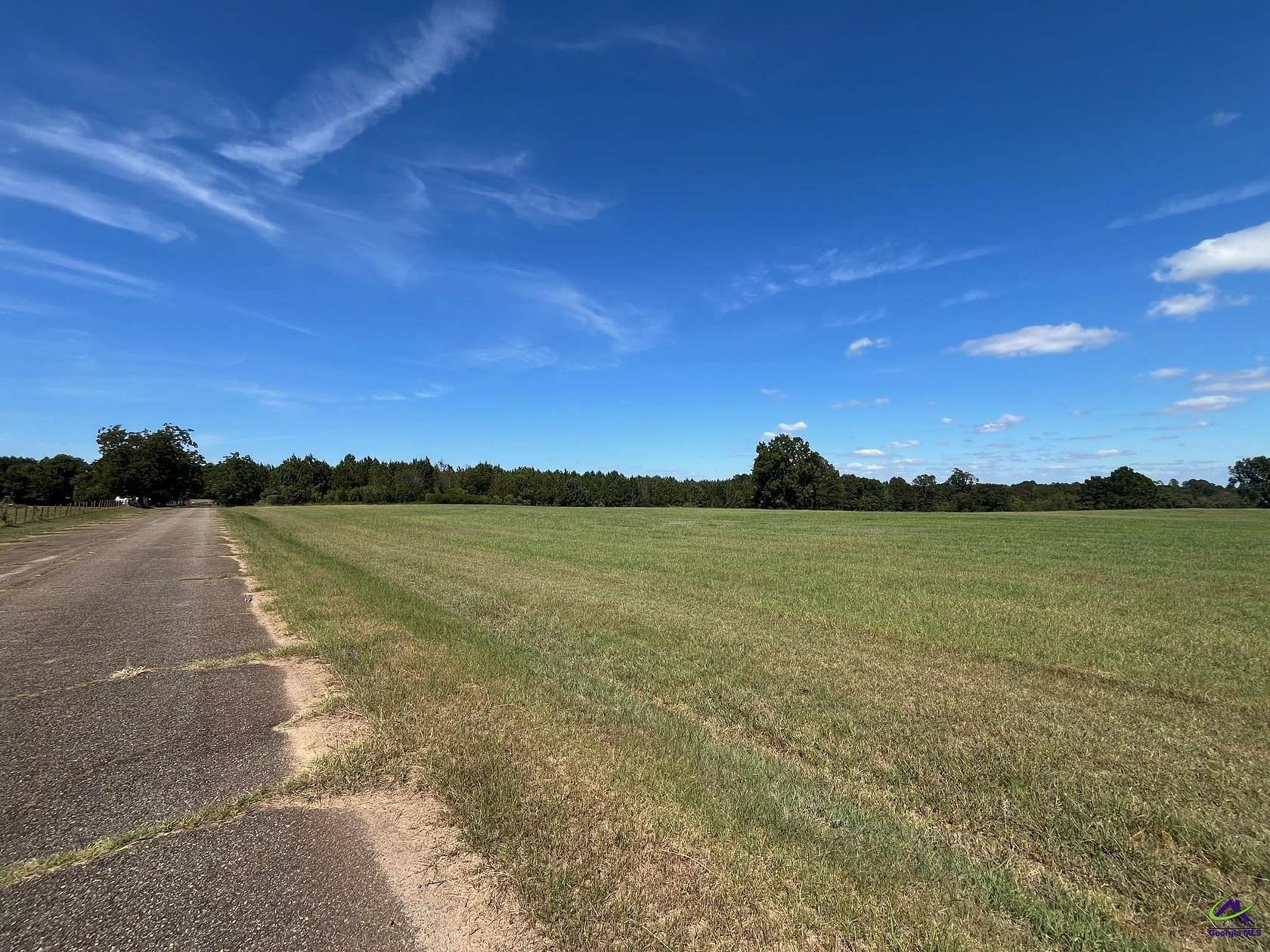 25 Acres of Agricultural Land for Sale in Unadilla, Georgia