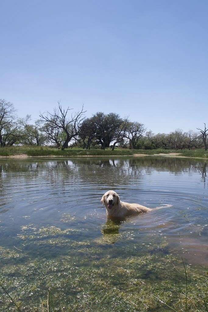 35 Acres of Recreational Land & Farm for Sale in Lohn, Texas