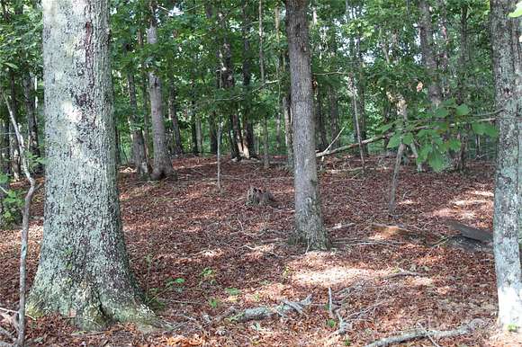 34.21 Acres of Recreational Land for Sale in Forest City, North Carolina