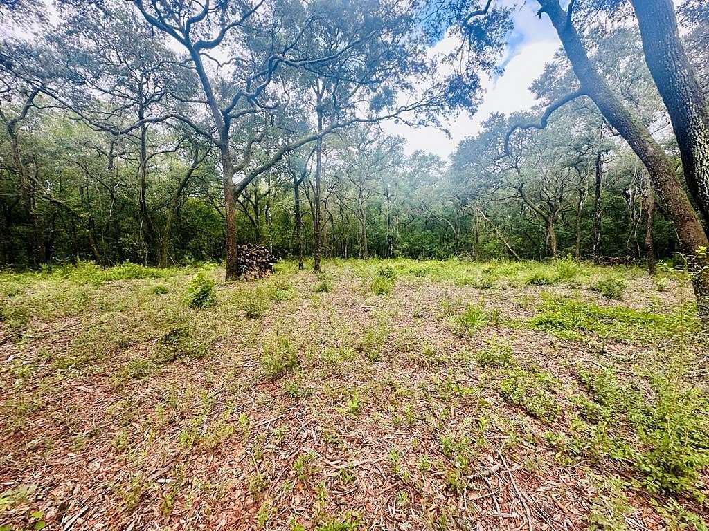 0.5 Acres of Residential Land for Sale in Chiefland, Florida