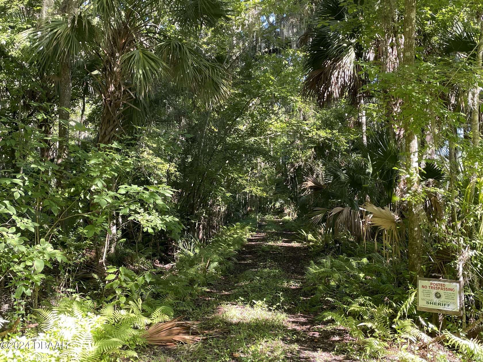 5 Acres of Residential Land for Sale in Edgewater, Florida