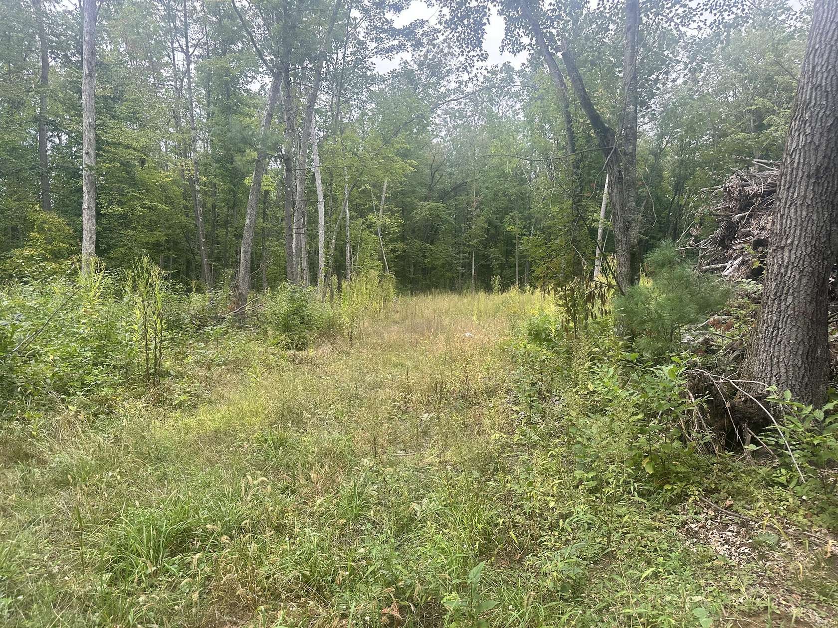 3 Acres of Residential Land for Sale in Howard City, Michigan