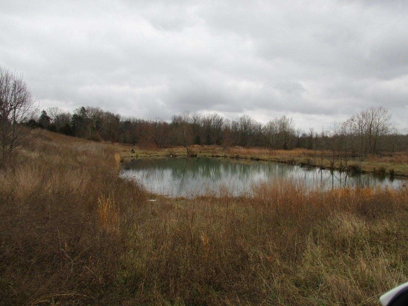 193 Acres of Recreational Land for Sale in West Plains, Missouri