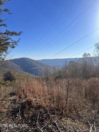 80.4 Acres of Recreational Land & Farm for Sale in Newcomb, Tennessee